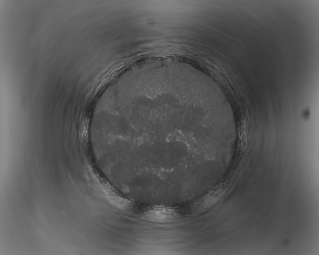 X0000116120278200912071353