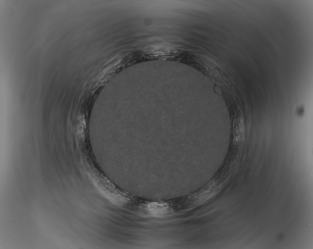 X0000116120279200912071353