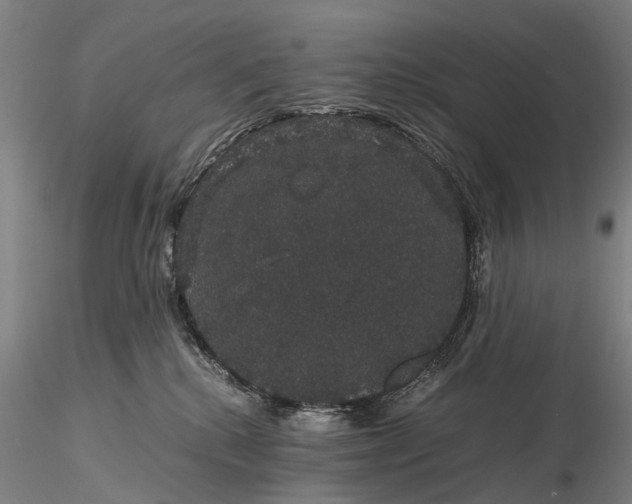 X0000116120280200912071353