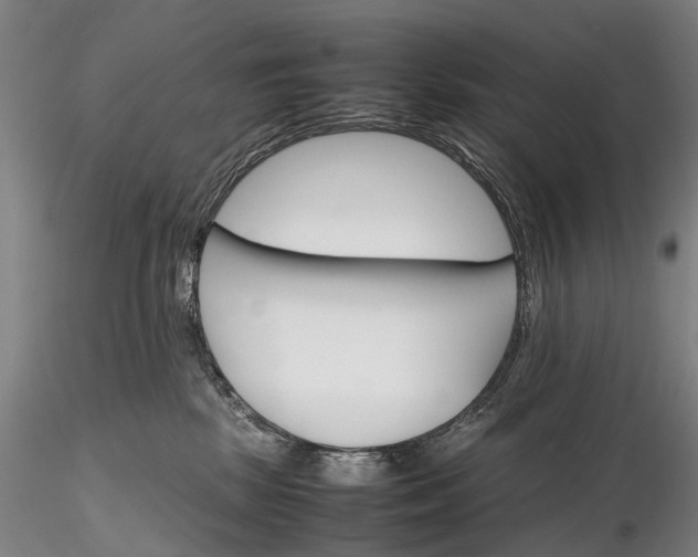 X0000116120281200912071353