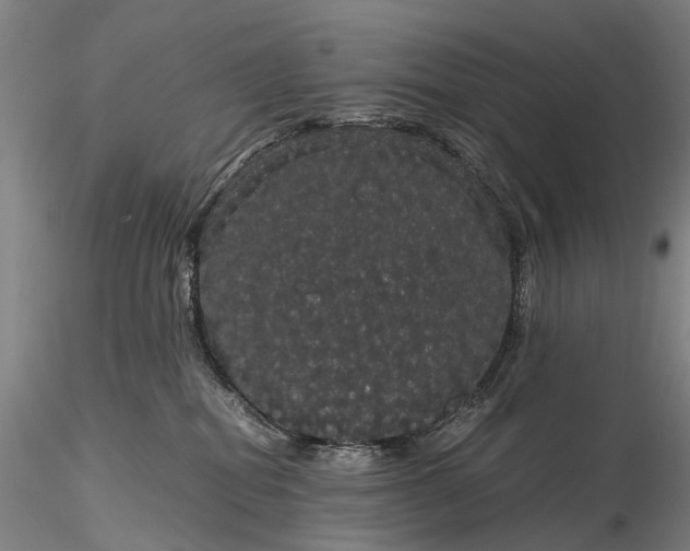 X0000116120282200912071353