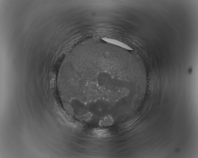 X0000116120283200912071353