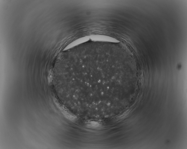 X0000116120285200912071353