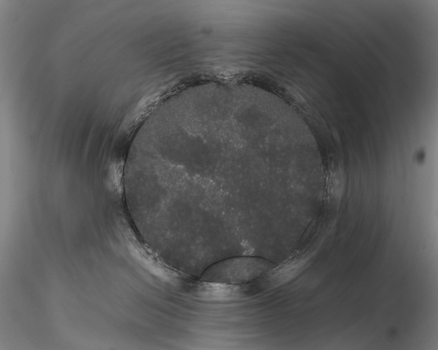 X0000116120286200912071353