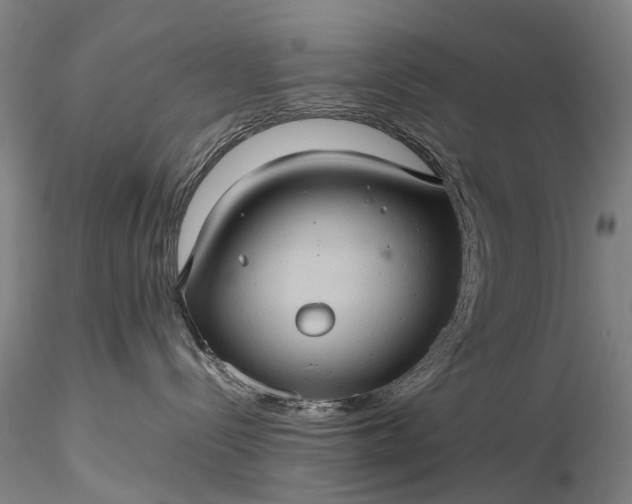 X0000116120288200912071353