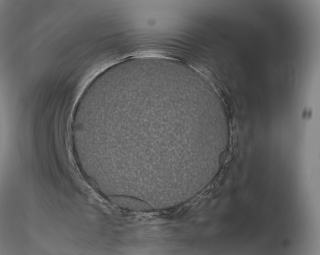 X0000116120289200912071352