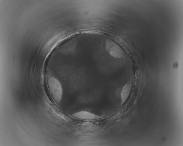 X0000116120290200912071352