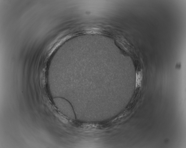 X0000116120291200912071352