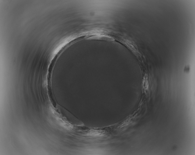 X0000116120292200912071352