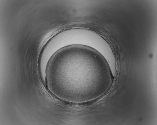 X0000116120293200912071352