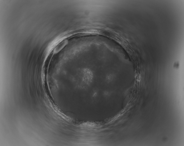 X0000116120294200912071352