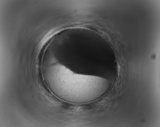 X0000116120295200912071352