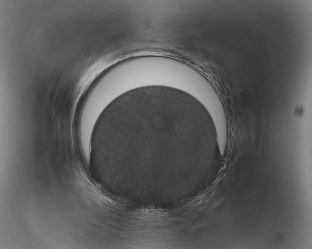 X0000116120296200912071352