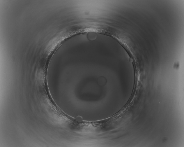 X0000116120297200912071352