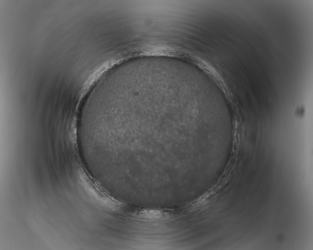 X0000116120298200912071352