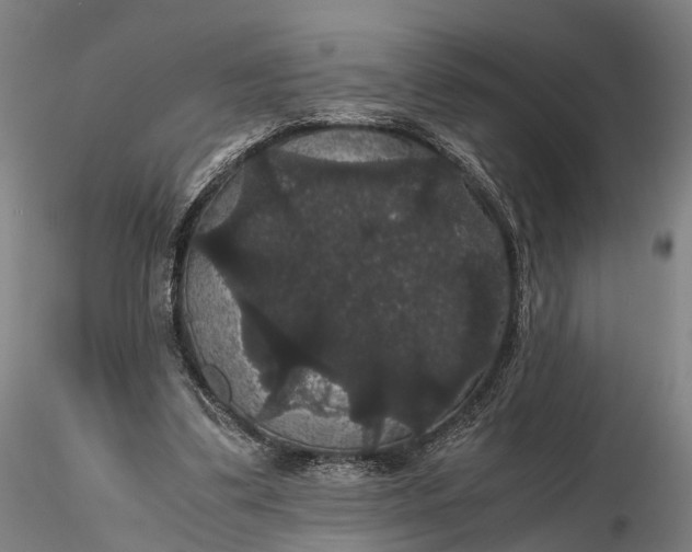 X0000116120299200912071352