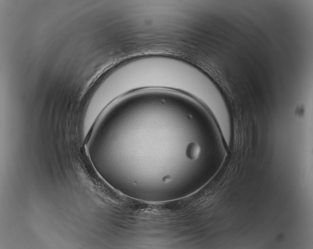 X0000116120300200912071352