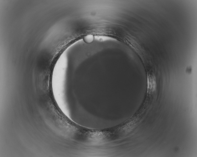 X0000116120301200912071352