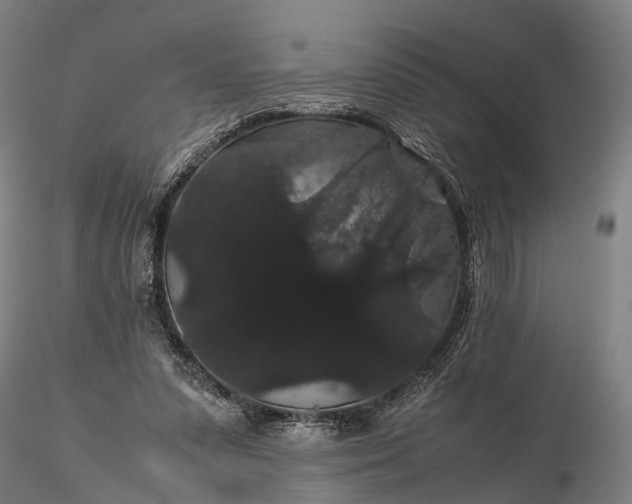 X0000116120303200912071352