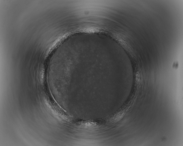 X0000116120304200912071352