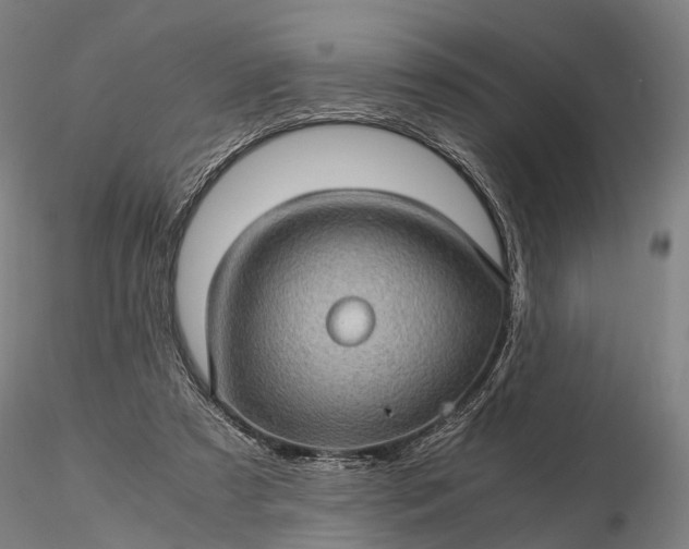 X0000116120305200912071352