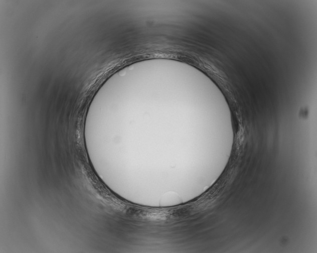 X0000116120306200912071352