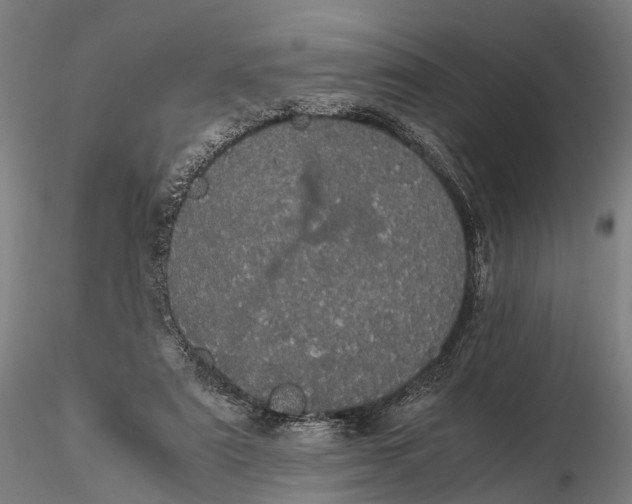 X0000116120307200912071352