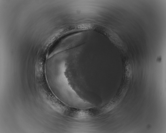 X0000116120308200912071352