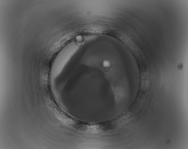 X0000116120309200912071352