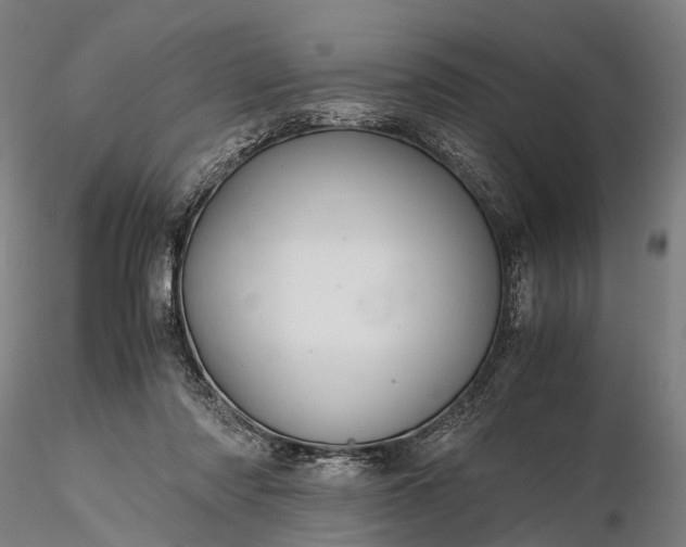 X0000116120310200912071352