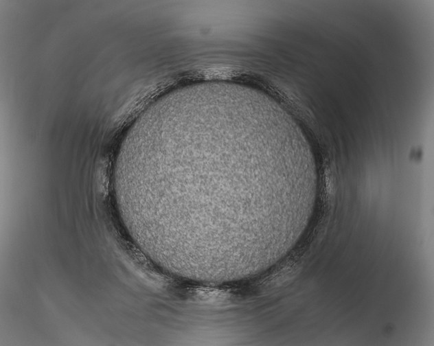 X0000116120311200912071352