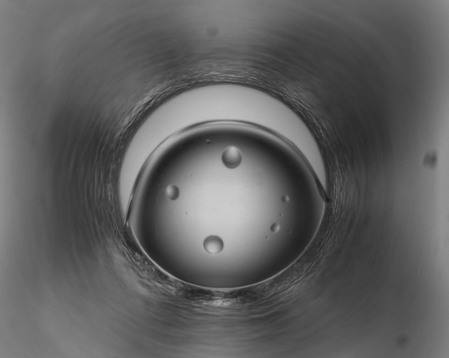 X0000116120312200912071352