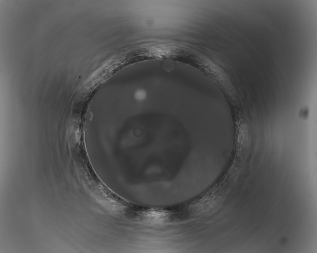 X0000116120313200912071352