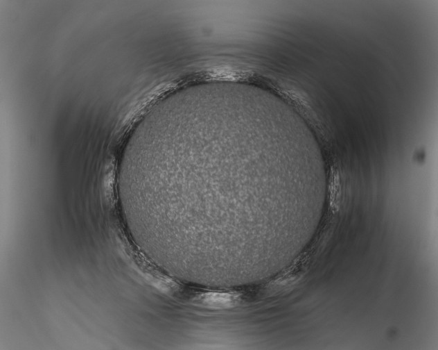 X0000116120314200912071352