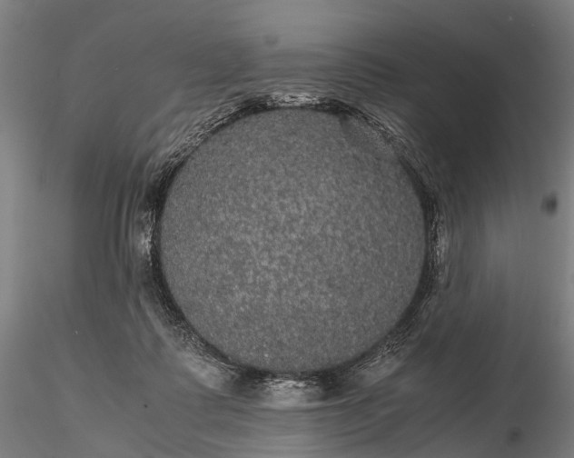 X0000116120315200912071352