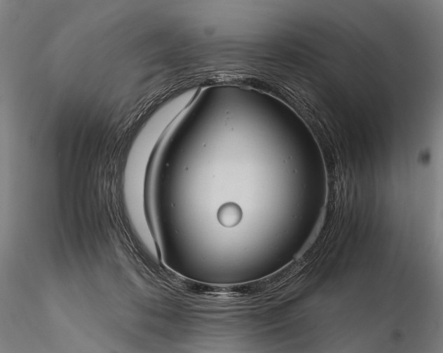 X0000116120316200912071352