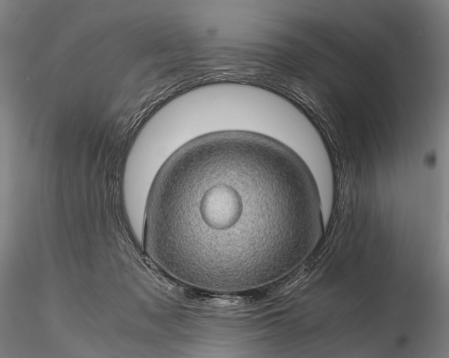 X0000116120317200912071352