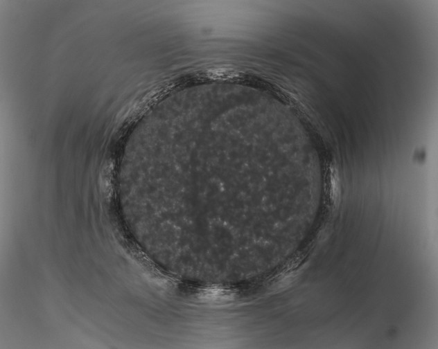 X0000116120319200912071352