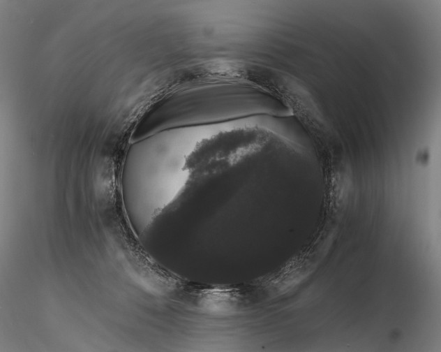 X0000116120320200912071352