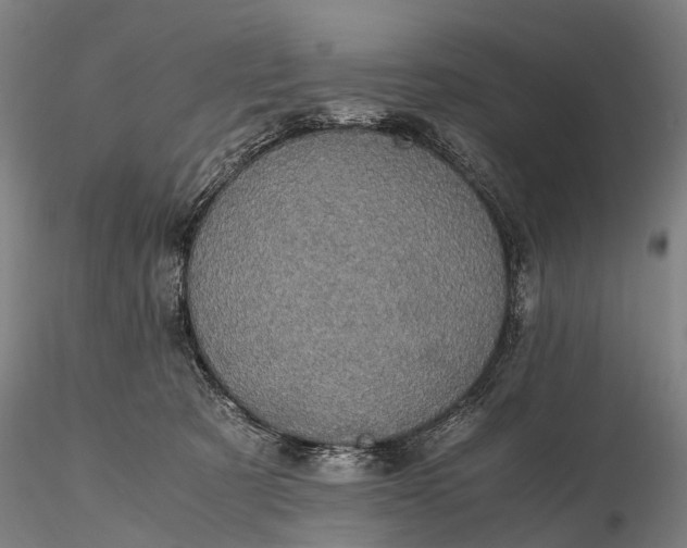 X0000116120321200912071352