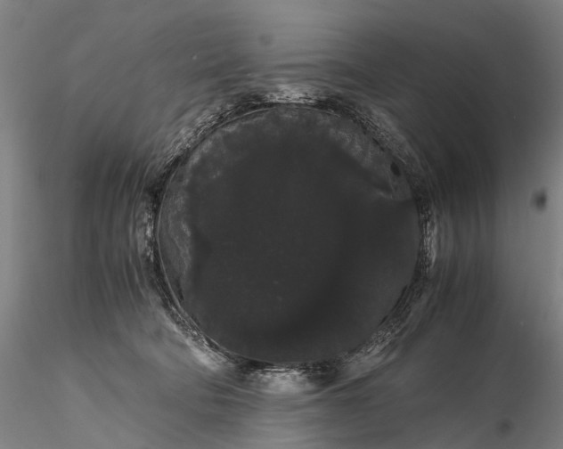 X0000116120322200912071352