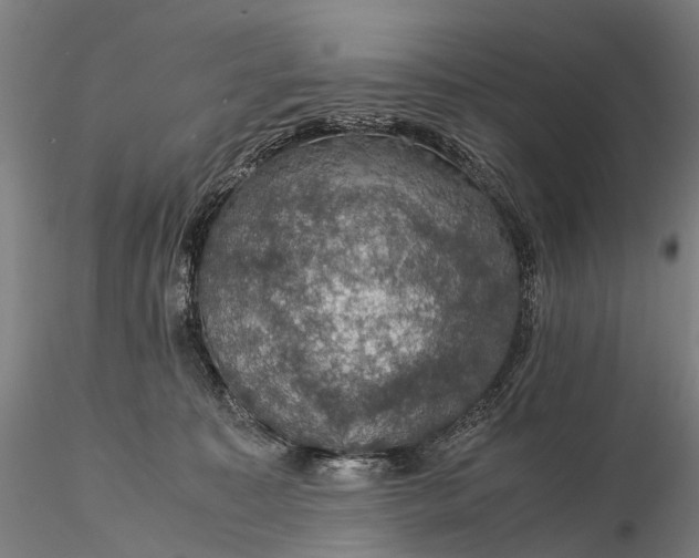 X0000116120323200912071352