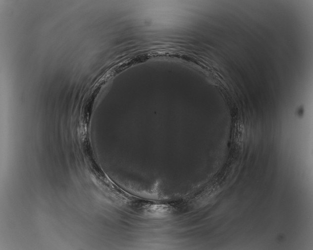 X0000116120324200912071352