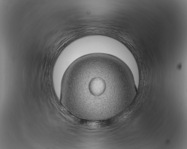 X0000116120325200912071352