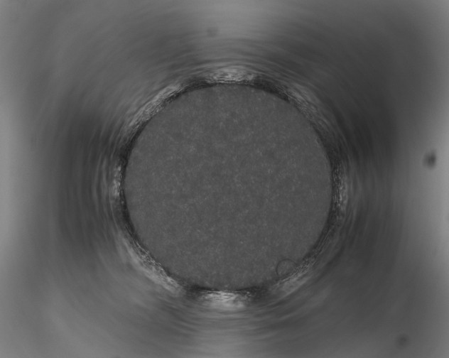 X0000116120326200912071352