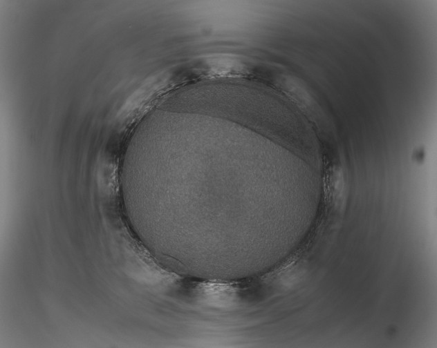 X0000116120327200912071352