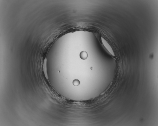 X0000116120328200912071352