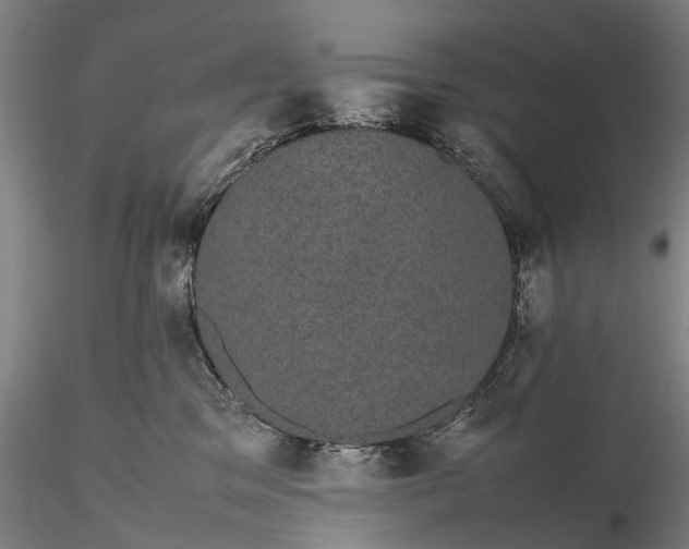 X0000116120329200912071352