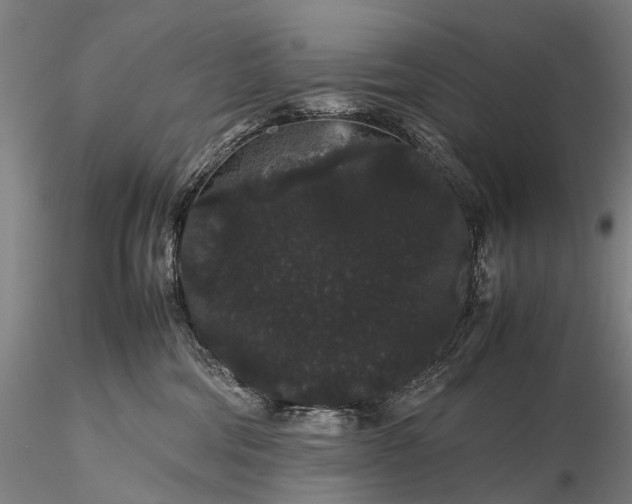 X0000116120330200912071352