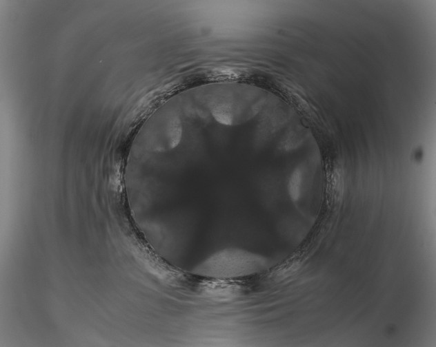 X0000116120331200912071352